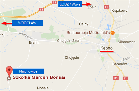 Szkółka Garden Bonsai - mapka dojazdu Mnichowice, kępiński